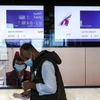 Ai Cập, UAE nối lại các tuyến đường bay thẳng đến Qatar