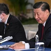 Chủ tịch Trung Quốc kêu gọi giảm, giãn nợ cho các nước đang phát triển