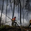 Cháy rừng cùng sạt lở đất gây nhiều thiệt hại ở các nước châu Âu