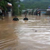 Việt Nam là một trong những nước chịu ảnh hưởng nặng nề của biến đổi khí hậu. (Ảnh minh họa. Nguồn: TTXVN)