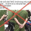 Ảnh minh họa. (Nguồn: Vietnam+)