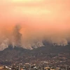 Khói bốc lên ngùn ngụt từ đám cháy rừng trên đảo Tenerife thuộc Quần đảo Canary của Tây Ban Nha. (Ảnh: AFP/TTXVN)