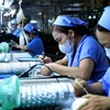 Hoạt động tại Công ty Trách nhiệm hữu hạn Sankoh Việt Nam - doanh nghiệp 100% vốn đầu tư Nhật Bản tại Khu Công nghiệp Bờ Trái Sông Đà, tỉnh Hòa Bình. (Nguồn: TTXVN)