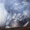 Hy Lạp nỗ lực khống chế cháy rừng nghiêm trọng nhất mùa Hè tại châu Âu