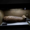 Hầu hết các cổ vật đều được khai quật ở Saqqara. (Nguồn: AFP)