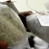 Iraq: Phát hiện cơ sở sản xuất ma túy Captagon tại tỉnh Muthahna