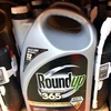 Thuốc diệt cỏ Roundup được bày bán tại cửa hàng ở San Rafael, California, Mỹ. (Nguồn: AFP/TTXVN) 