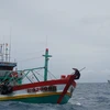 Tàu mang biển hiệu BT 92009 TS vận chuyển trái phép khoảng 80.000 lít dầu DO trên vùng biển Cà Mau. (Ảnh: TTXVN phát)