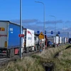 Xe tải xếp hàng tại cửa khẩu biên giới Ba Lan - Ukraine ở Medyka, Đông Nam Ba Lan, ngày 16/11/2023. (Ảnh: AFP/TTXVN) 
