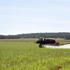 Máy kéo phun phân bón trên cánh đồng ở bang Goias (Brazil), ngày 19/5/2022. (Ảnh: AFP/TTXVN)