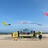 Lễ hội thả diều trên bãi biển tại thành phố Phan Thiết (Bình Thuận), tháng 5/2023. (Ảnh: Nguyễn Thanh/TTXVN)