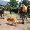 Quân đội được triển khai tại bang Manipur (Ấn Độ) sau vụ đụng độ giữa các nhóm sắc tộc đối địch, ngày 3/6/2023. (Ảnh: AFP/TTXVN)