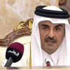 Quốc vương Qatar Tamim bin Hamad Al Thani. (Nguồn: Al Jazeera)