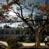 Quang cảnh bên ngoài Trụ sở công ty Mossack Fonseca đặt tại Panama City ngày 9/5. (Nguồn: AFP/TTXVN)