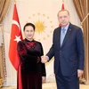 Chủ tịch Quốc hội Nguyễn Thị Kim Ngân hội kiến Tổng thống Thổ Nhĩ Kỳ Recep Tayyip Erdogan. (Nguồn: Trọng Đức/TTXVN)