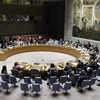 Toàn cảnh cuộc họp Hội đồng bảo an Liên hợp quốc ở New York, Mỹ ngày 10/7. (Ảnh minh họa: THX/ TTXVN)