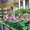 Các sản phẩm từ sen được trưng bày tại Công ty Cổ phần sản xuất, xuất nhập khẩu và thương mại dịch vụ Hali (Ninh Bình). (Ảnh: Thùy Dung/TTXVN)