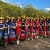 Du khách chụp ảnh lưu niệm tại Tuần lễ hoa Dã quỳ - núi lửa Chư Đang Ya năm 2023. (Ảnh: Hồng Điệp/TTXVN)