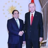 Thủ tướng Phạm Minh Chính hội kiến Tổng thống Thổ Nhĩ Kỳ Recep Tayyip Erdogan. (Ảnh: Dương Giang/TTXVN)