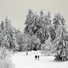 Các hoạt động ở thành phố Munich, thuộc bang Bavaria, Đông Nam nước Đức, đã chịu ảnh hưởng nặng nề do tuyết rơi dày ở mức kỷ lục. (Ảnh: AFP/TTXVN)