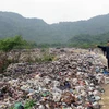 Xử lý gần 200 đơn thư khiếu nại về vi phạm môi trường năm 2014
