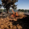 Bóng bay gây cháy gây hỏa hoạn trên các cánh đồng tại miền Nam Israel. (Nguồn: Reuters)