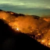 Biến đổi khí hậu làm tăng 25% nguy cơ cháy rừng cấp cực kỳ nguy hiểm