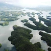 Chuyển Ban quản lý Vườn Quốc gia Tà Đùng trực thuộc UBND tỉnh Đắk Nông