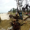 Quảng Nam: Sạt lở bờ biển nghiêm trọng, di dời hộ dân đến nơi an toàn