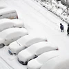 Tuyết rơi dày đặc tại Yên Đài, tỉnh Sơn Đông, Trung Quốc, ngày 20/12/2023. (Ảnh: AFP/TTXVN)