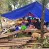 Người dân thôn 1, xã Trà Leng phải ở trong các lều dựng tạm sau khi xảy ra mưa lũ, sạt lở. (Ảnh: Đoàn Hữu Trung/TTXVN)