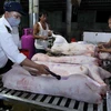 Nhân viên Thú y kiểm tra, đóng dấu kiểm dịch an toàn vệ sinh thực phẩm lên sản phẩm thịt lợn. (Ảnh: Vũ Sinh/TTXVN)