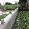 Hệ thống cống trên địa bàn thành phố Vị Thanh được vận hành nhằm ngăn nước mặn xâm nhập sâu. (Ảnh: Hồng Thái/TTXVN)