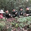 Các cán bộ kiểm lâm và chủ rừng kiểm tra lớp thực bì quanh khu vực đền Cao An Phụ, thị xã Kinh Môn. (Ảnh: Tiến Vĩnh/TTXVN)