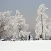 Tuyết phủ trắng xóa trên núi Kahler Asten ở gần Winterberg, Đức. (Ảnh: AFP/TTXVN)