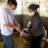 Hộ chăn nuôi lợn Nguyễn Văn Hưởng, thị trấn An Lương, huyện Nam Sách, chuẩn bị nguồn con giống phục vụ tái đàn lợn sau bệnh dịch tả lợn châu Phi theo quy định của ngành Nông nghiệp. (Ảnh: TTXVN)
