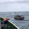 Huy động lực lượng hỗ trợ một tàu cá bị chìm khi vào khu tránh trú bão. (Ảnh minh họa. Minh Huệ/TTXVN)