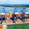 Hãng tàu lớn nhất thế giới MSC thường xuyên có chuyến tàu cập cụm cảng Cái Mép-Thị Vải tỉnh Bà Rịa-Vũng Tàu. (Ảnh: TTXVN phát)
