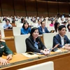Các đại biểu Quốc hội biểu quyết chiều nay, 28/11. (Ảnh: CTV/Vietnam+)