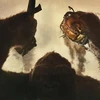 [Mega Story] "Kong: Skull Island" và những ẩn dụ thú vị về Việt Nam