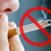 Khảo sát độc giả VietnamPlus về tác hại của khói thuốc lá