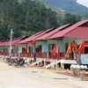 Khu dân cư vùng sạt lở Trà Leng, huyện Nam Trà My, tỉnh Quảng Nam. (Ảnh: Trần Tĩnh/TTXVN) 