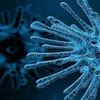 Phân tích gene, chủng virus ở Karachi có liên quan đến virus bại liệt được phát hiện ở Afghanistan.(Nguồn: Dunyanews)