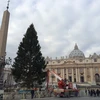 Vatican chuẩn bị sẵn sàng cho lễ Giáng sinh 2013