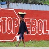 Liên hợp quốc tăng cường gần 50 triệu USD để đối phó với Ebola