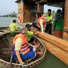 [Photo] Quảng Nam: Khám phá ốc đảo dừa nước Cẩm Thanh 