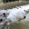 Hà Tĩnh: Hai cháu bé ba tuổi chết đuối do rơi xuống hồ cá