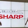 Sharp dự định cắt giảm lương để đối phó khủng hoảng kinh tế
