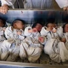 Trung Quốc y án tử hình kẻ buôn trẻ em xuyên biên giới Việt-Trung