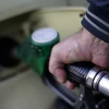 OPEC dự báo giá dầu đã chạm đáy và sẽ sớm phục hồi trở lại 